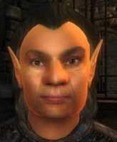 Elder Scrolls IV: Oblivion, The - Путеводитель по блогу Oblivion